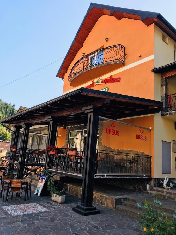 Băile Borşa Pensiunea Montana Borsa Mm מראה חיצוני תמונה