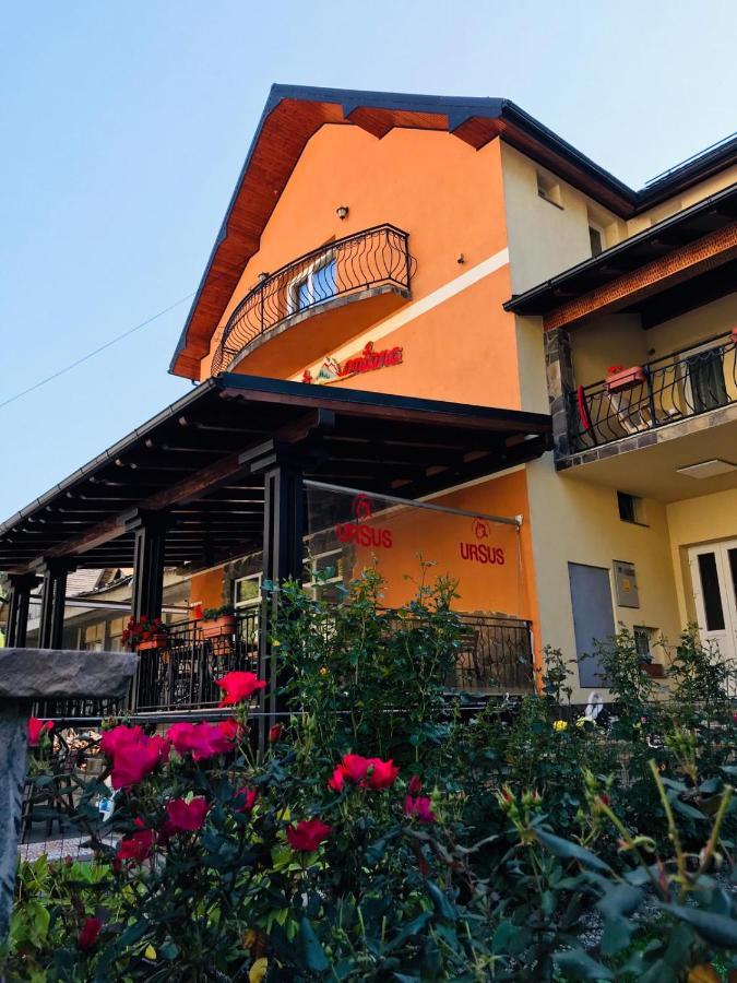 Băile Borşa Pensiunea Montana Borsa Mm מראה חיצוני תמונה